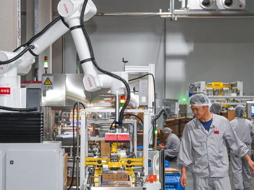 海口高新区企业雨帆乳业 创建五化工厂，将绿色图强融入企业DNA